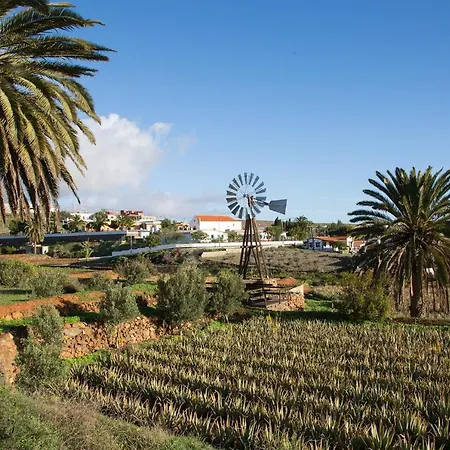 Mary Villa
